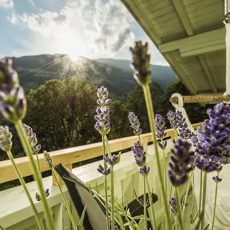 Hotel Mountain And Soul Lifestyle Ramsau im Zillertal